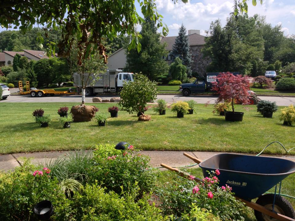 Salese Landscaping Plant Installation